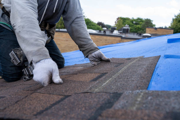 Fast & Reliable Emergency Roof Repairs in Bexley, OH