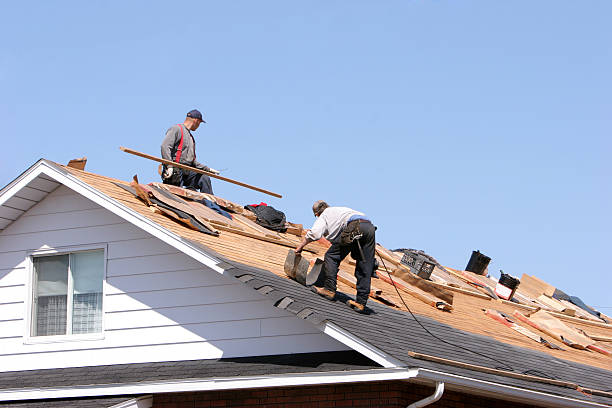 Best Roof Insulation Installation  in Bexley, OH