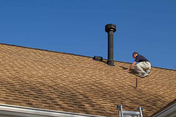 Best Roof Moss and Algae Removal  in Bexley, OH